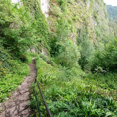 La Maison De Lison *