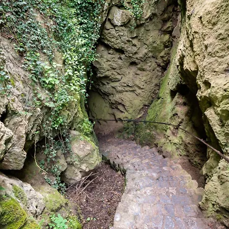 La Maison De Lison Furfooz